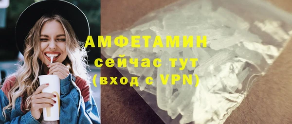 стаф Пересвет