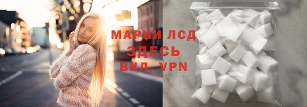 стаф Пересвет