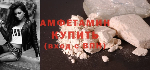 стаф Пересвет