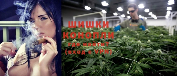 стаф Пересвет