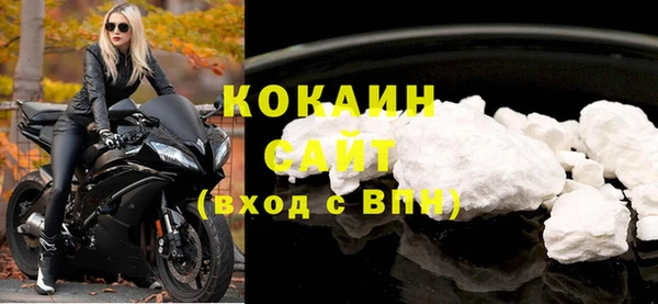 стаф Пересвет