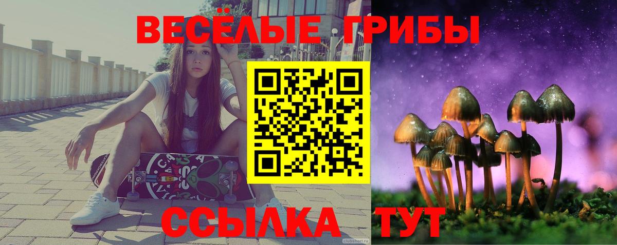 Псилоцибиновые грибы ЛСД  Вольск 