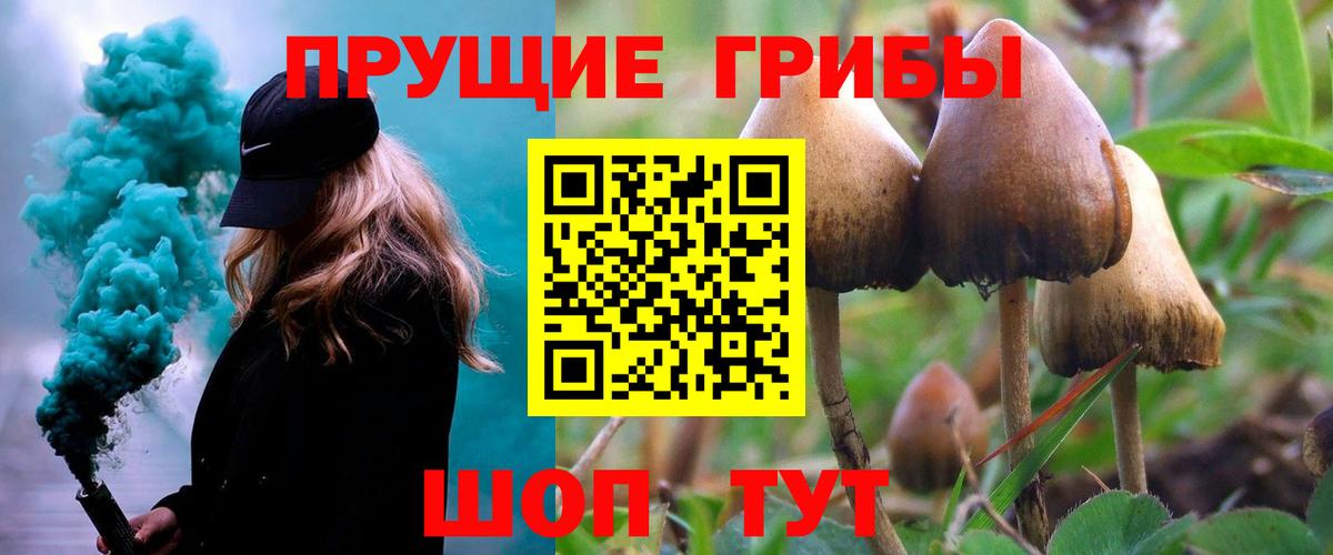 Галлюциногенные грибы Magic Shrooms  Псилоцибиновые грибы GOLDEN TEACHER  Вход с VPN  Вольск 