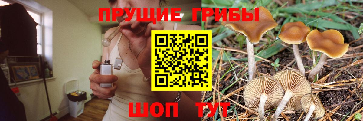 Галлюциногенные грибы GOLDEN TEACHER Вольск
